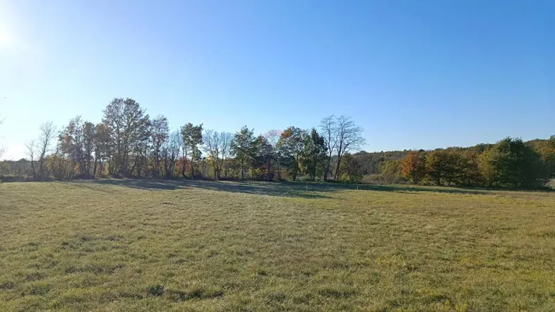 Земельный участок нестроительного назначения Draguzeti, Barban, 3.330m2 – 3