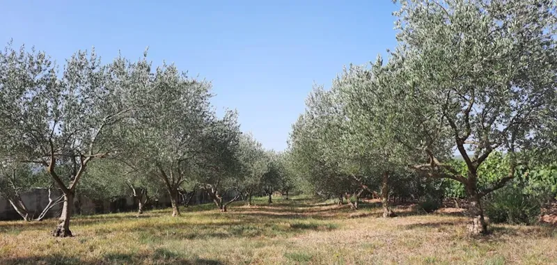 Land Pridraga – 2