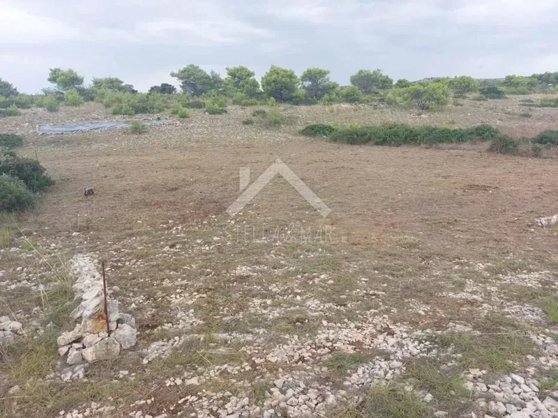 Land Vir, 600m2 – 3