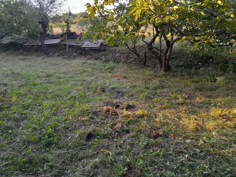 Terreno non edificabile Premantura, Medulin, 664m2 – 2