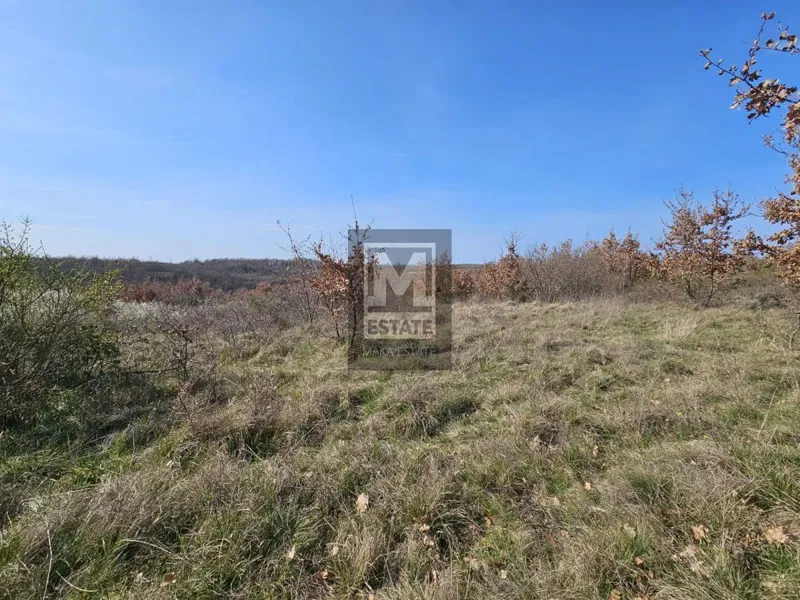 Poreč, surroundings, excellent agricultural land – 3