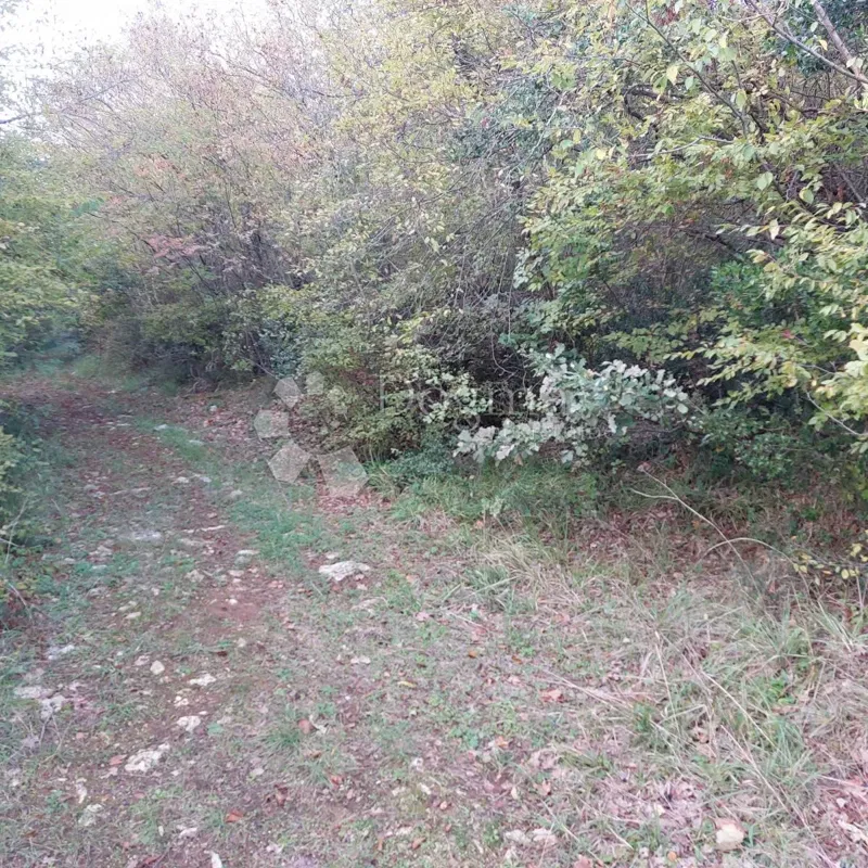 Działka Kloštar, Sveti Lovreč, 9.500m2 – 3