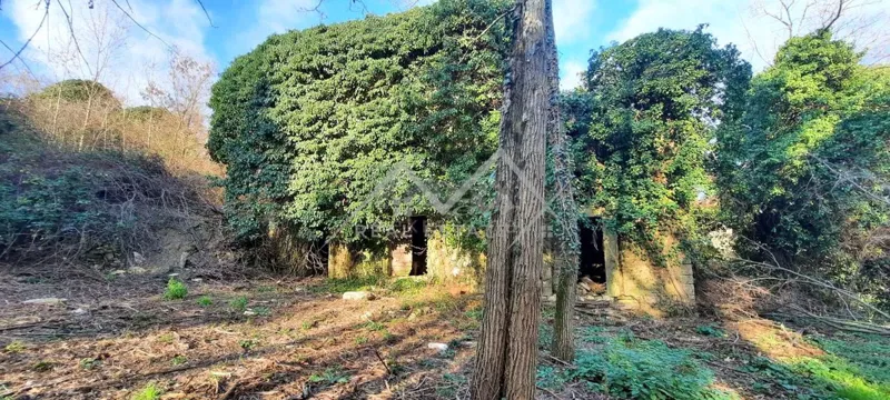 Terreno Grožnjan – 2