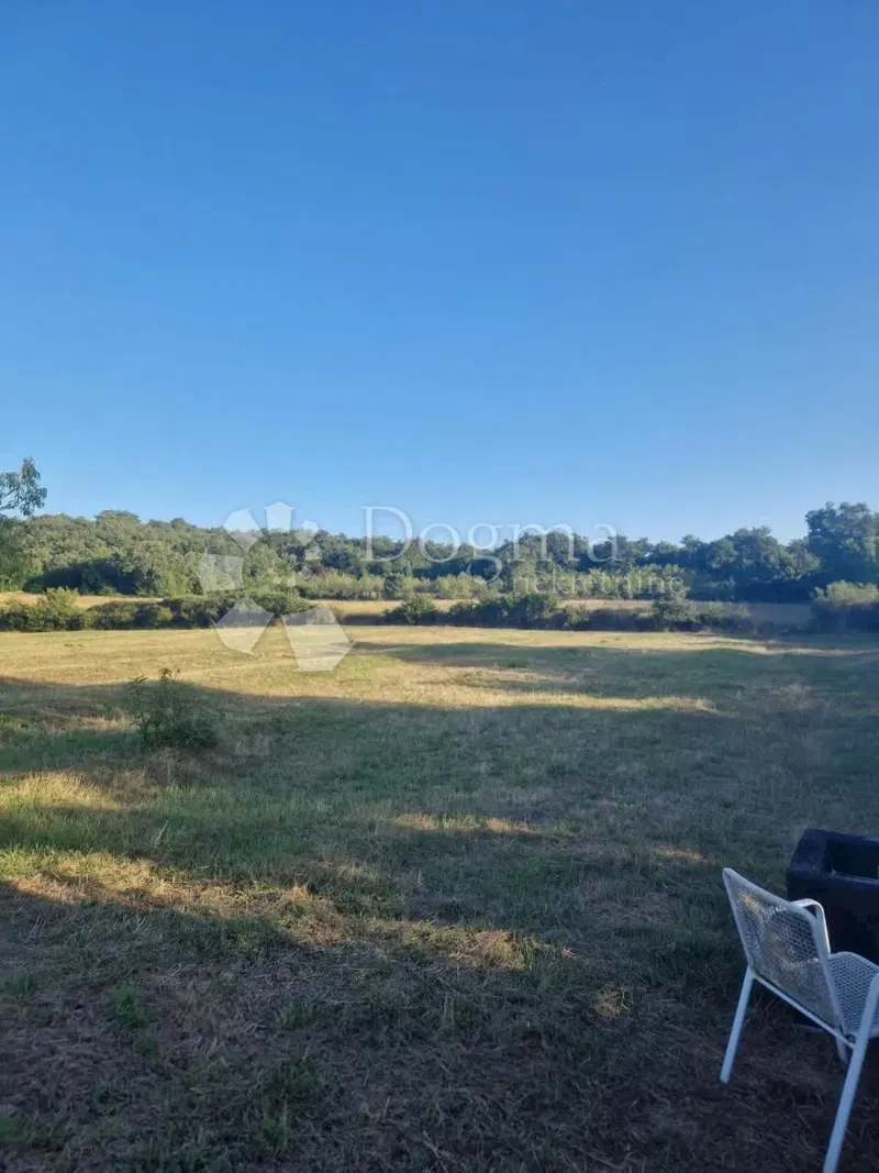 BELLISSIMO TERRENO AGRICOLO IDEALE PER UN OLIVETO – 2