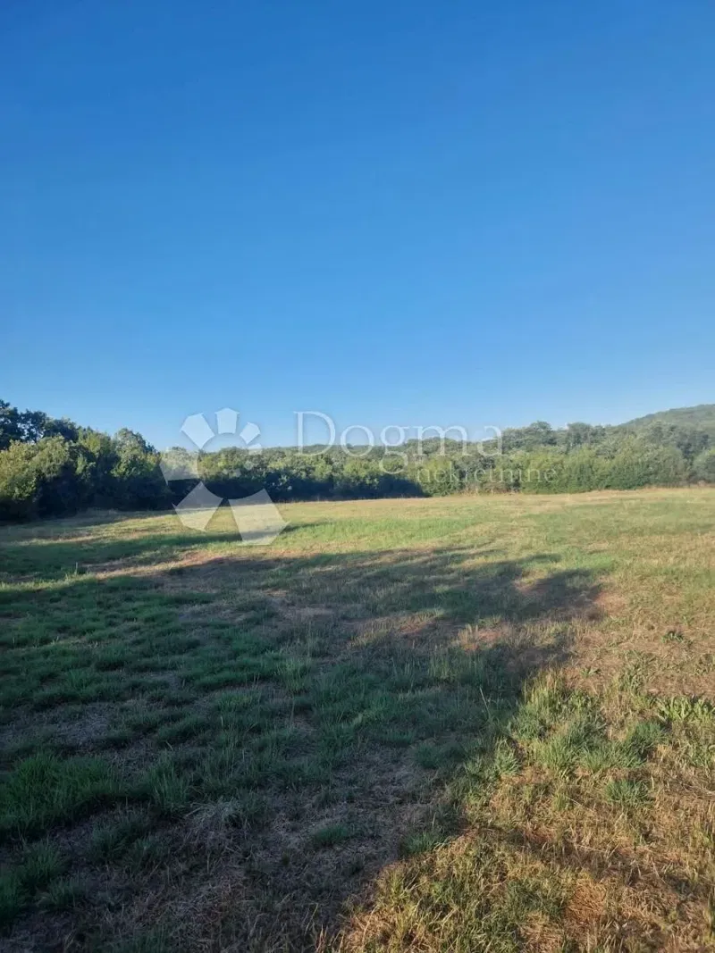BELLISSIMO TERRENO AGRICOLO IDEALE PER UN OLIVETO – 3