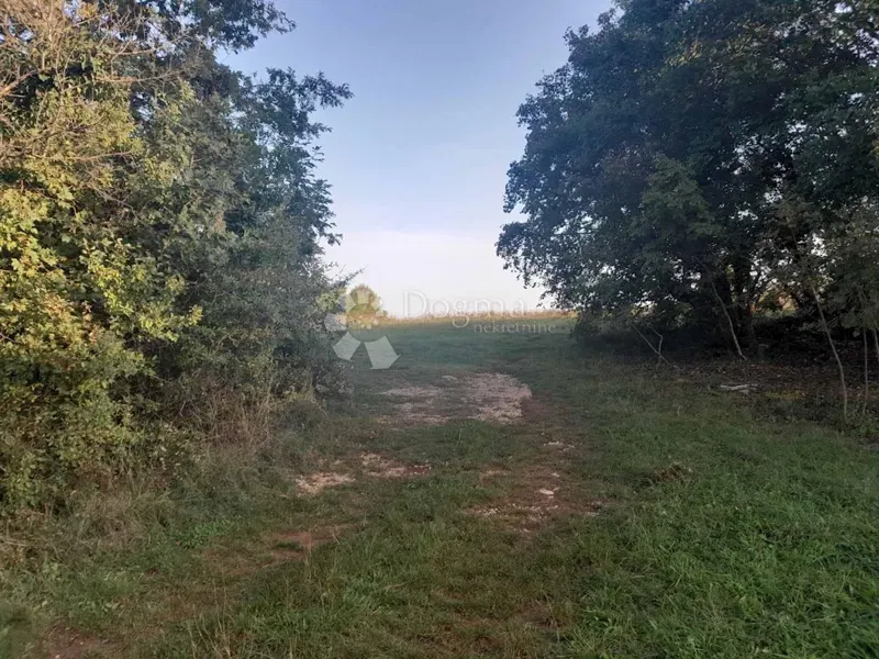 Föld Bokordići, Svetvinčenat, 2.158m2 – 2