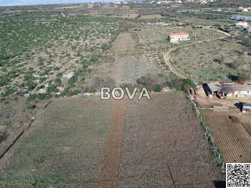 Building plot 8500 m2 - Tinj *Regular shape* (ID-2369) – 2