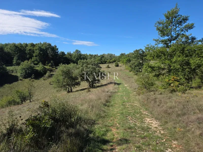 Istria, Pisino - terreno edificabile per la costruzione di un resort di 53.534 m2 – 2