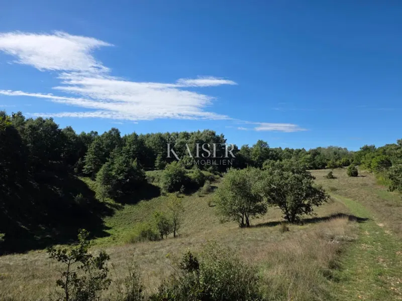 Istria, Pisino - terreno edificabile per la costruzione di un resort di 53.534 m2 – 3