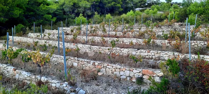 Casa Vis, 24m2 – 2