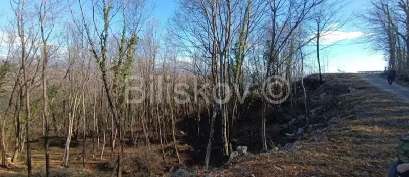 Terreno Pobri – 3