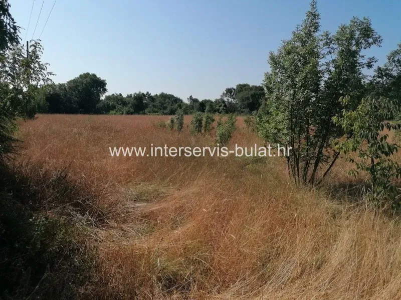 .::: Agricultural land near Drinovci :::. – 2