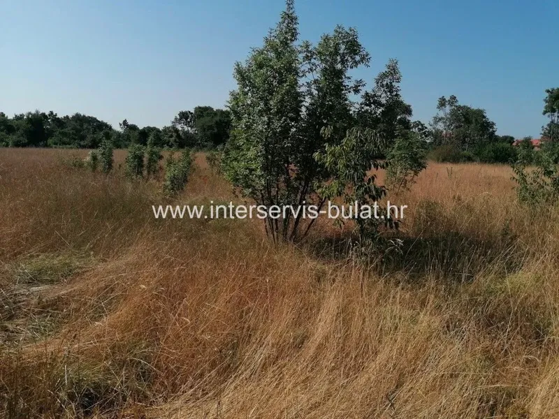 .::: Agricultural land near Drinovci :::. – 3