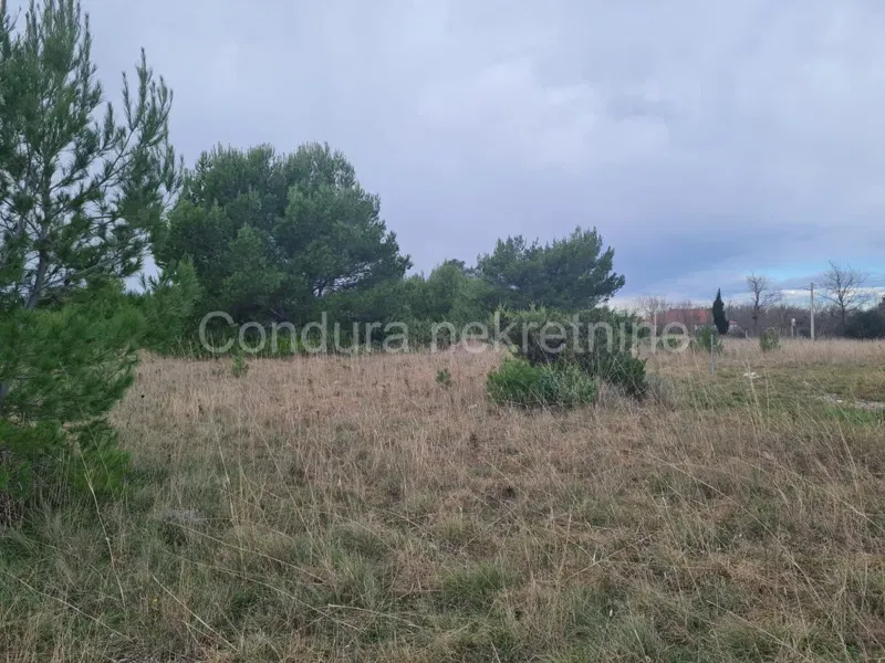 Terreno Privlaka – 2
