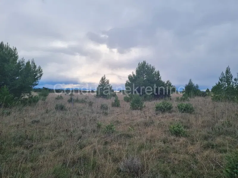 Terreno Privlaka – 3