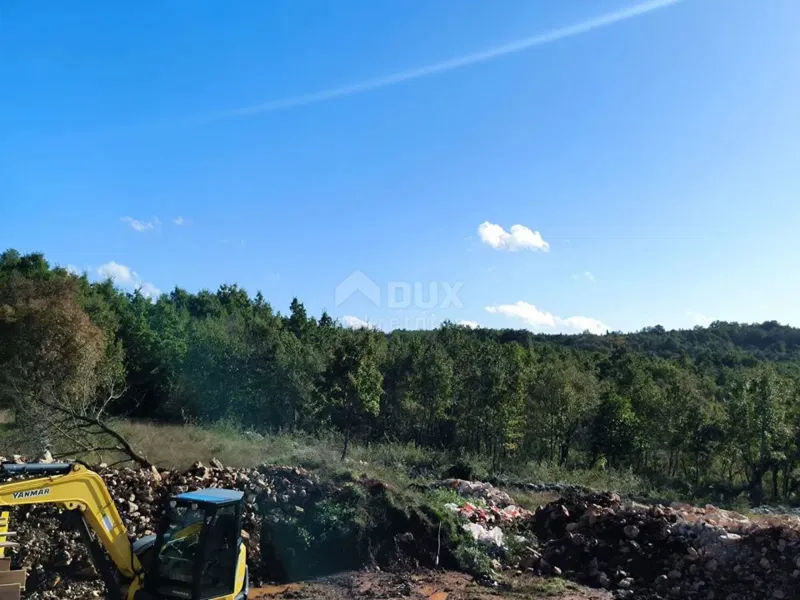 ISTRIA, TINJAN - Bellezza rustica in una posizione incantevole! – 3