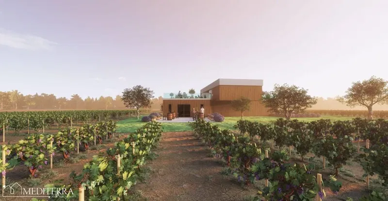 Terreno agricolo adatto per una cantina, Buie, Istria – 3