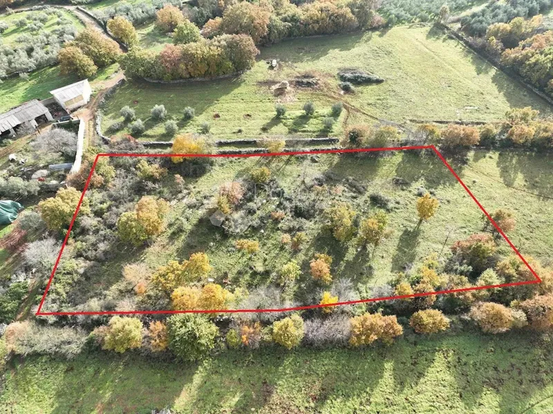 Land Marčana, 4.576m2 – 2