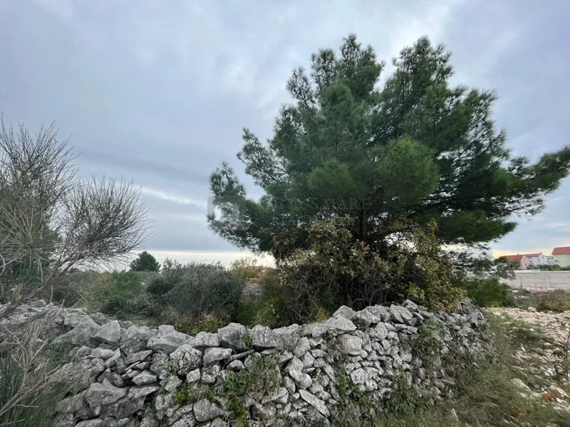 Telek Srima – 3
