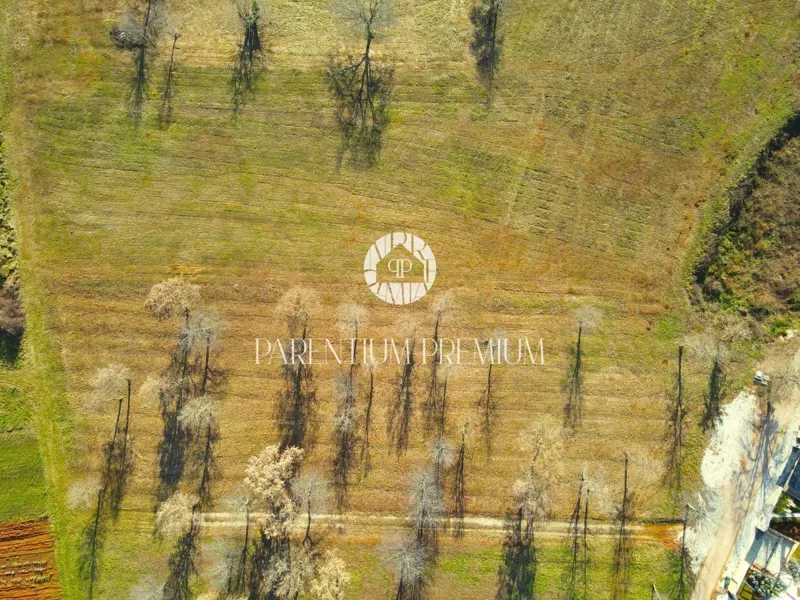 Complesso di terreni edificabili abbinati per la realizzazione di 8 ville – 2