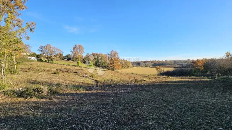 Terreno Brtonigla, 3.000m2 – 2