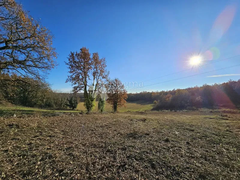 Terreno Brtonigla, 3.000m2 – 3