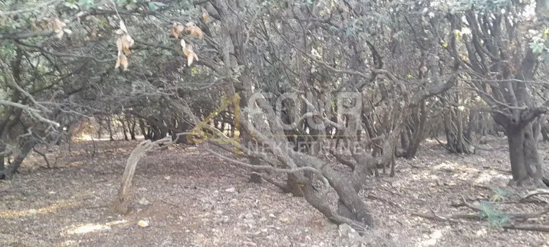 Stivan, Cres, 12.229m2
