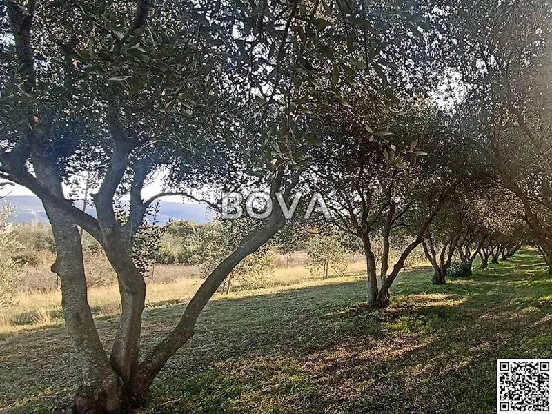 Terreno Pridraga – 2
