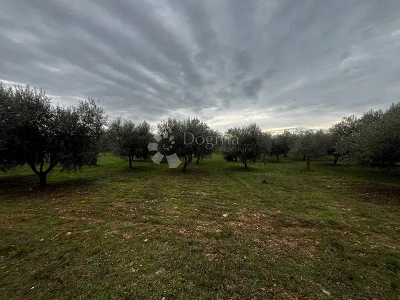 Land Peroj, Vodnjan, 5.431m2 – 2