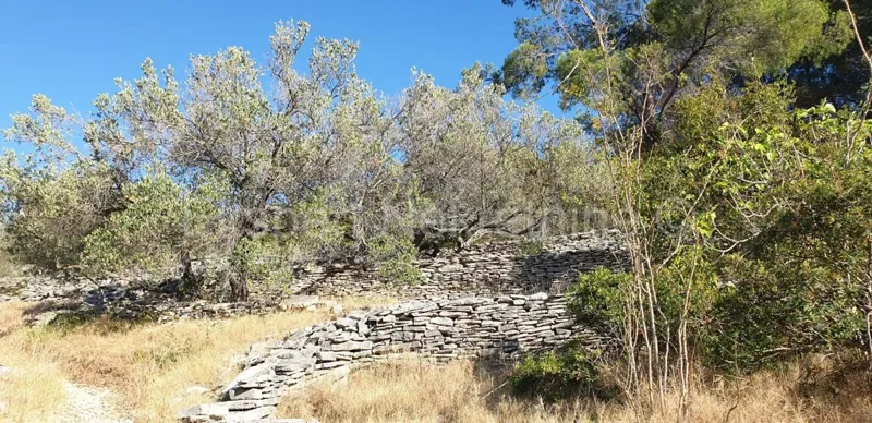 Korčula, Vela Luka, building plot 1964 m2, first row to the sea – 3