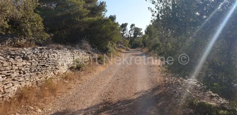 Telek Vela Luka – 2