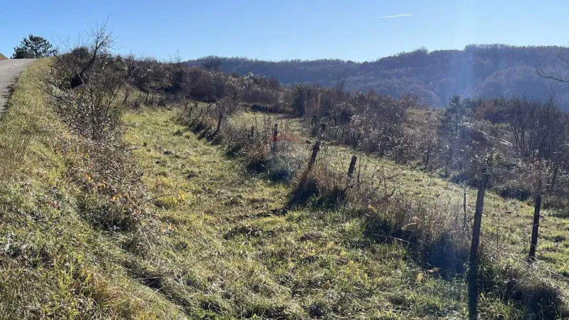 Building plot Zamask, Pazin - Okolica, 3.059m2 – 3