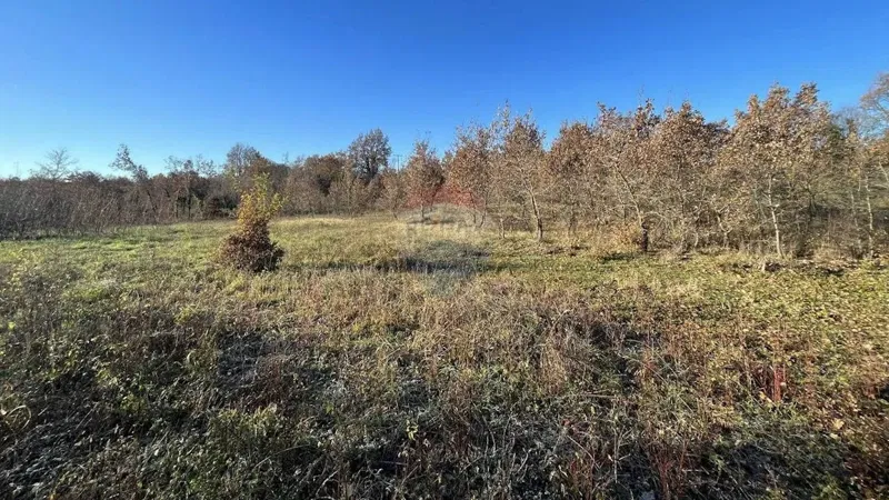 Telek Jasenovica – 2