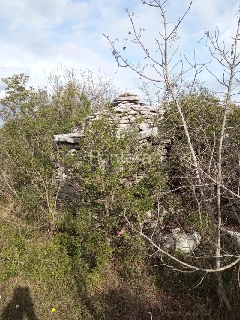 Land Vodnjan, 5.463m2 – 2