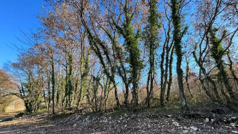 Telek Brečevići – 2