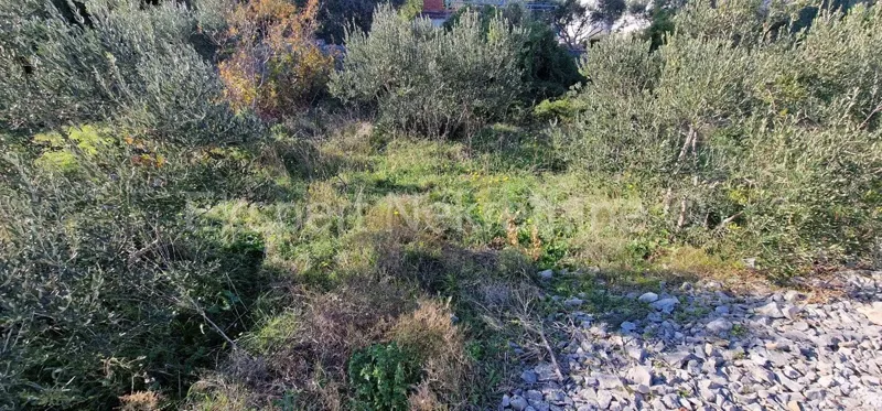Telek Okrug Gornji – 3