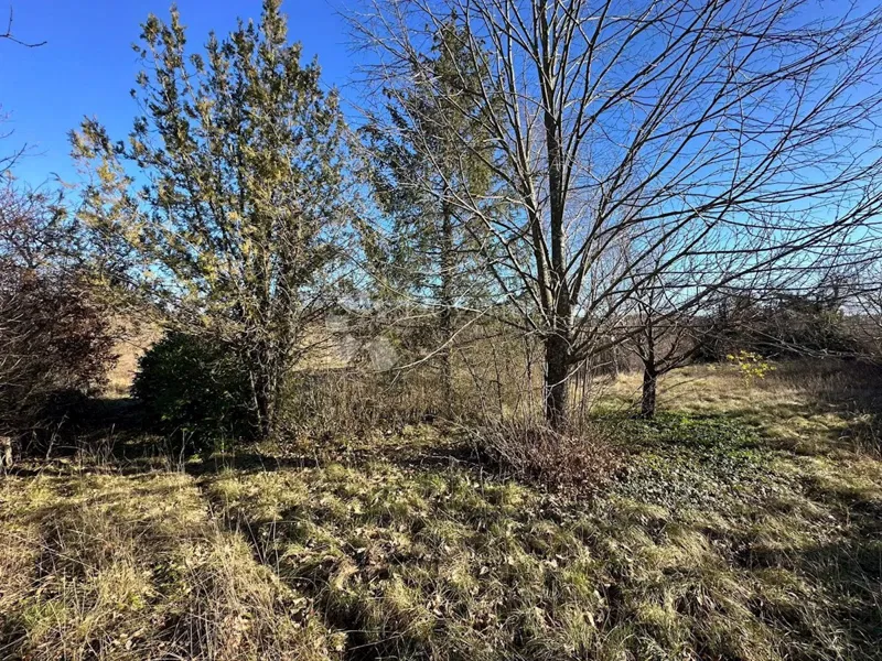 Föld Zabrežani, Pazin - Okolica, 2.582m2 – 2