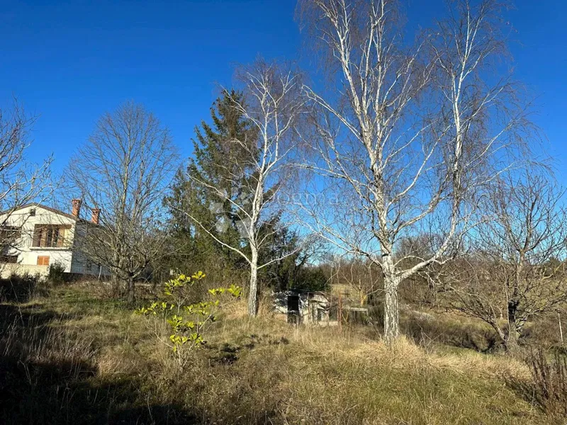 Föld Zabrežani, Pazin - Okolica, 2.582m2 – 3