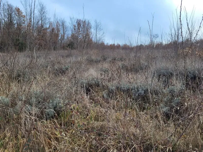 Земля Višnjan, 13.835m2 – 2