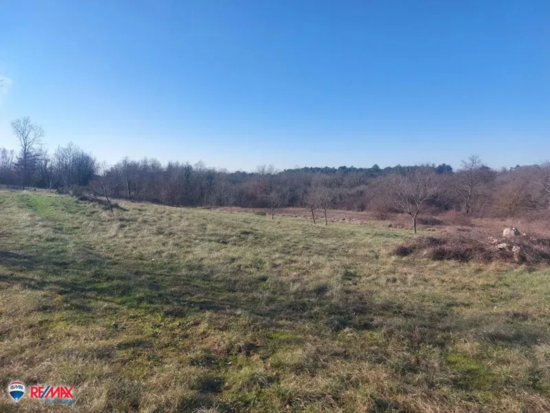 Building land Mali Golji, Sveta Nedelja, 3.950m2 – 2