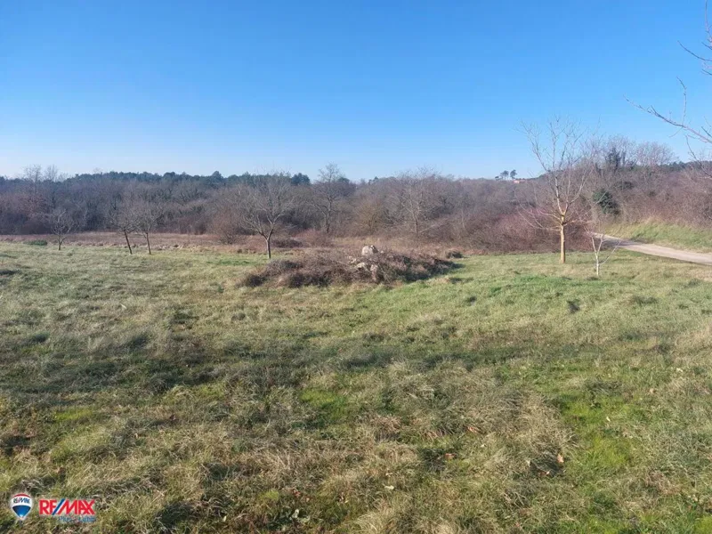 Building land Mali Golji, Sveta Nedelja, 3.950m2 – 3