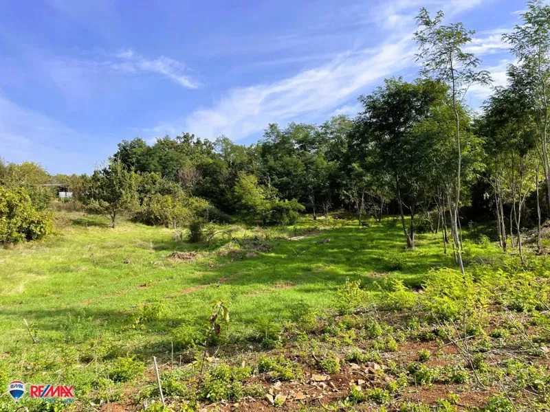 Building land Mali Golji, Sveta Nedelja, 1.580m2 – 3