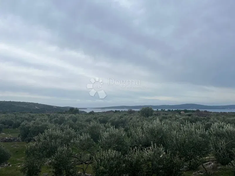 Land Sutivan, 5.500m2 – 2