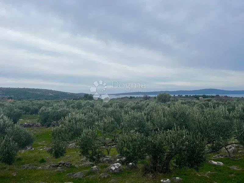Land Sutivan, 5.500m2 – 3