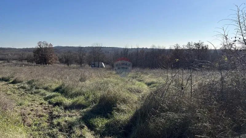 Vrsar okolica, poljoprivredno zemljište