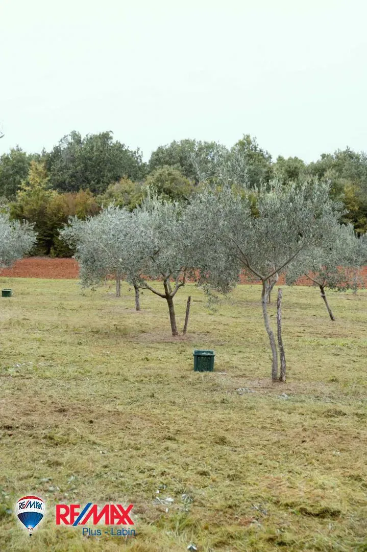 Terreni agricoli Barban, 9.237m2 – 2
