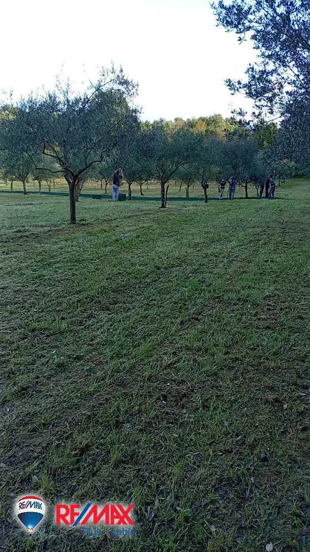 Terreni agricoli Barban, 9.237m2 – 3