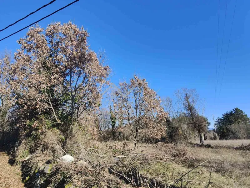 Grožnjan surroundings, building plot in nature – 3