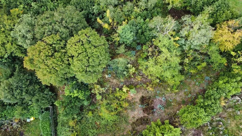 Building plot Bivio, Rijeka, 1.583m2 – 3