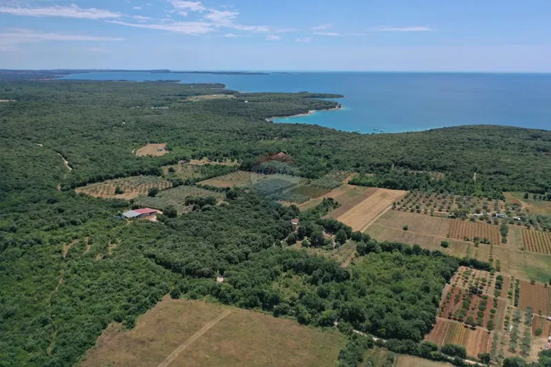Terreno non edificabile Rovinj, 14.700m2 – 3